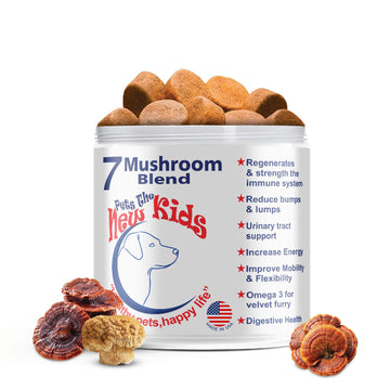 7 Mushroom Blend